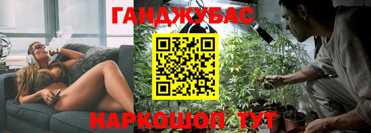 Бошки марихуана конопля Мыски